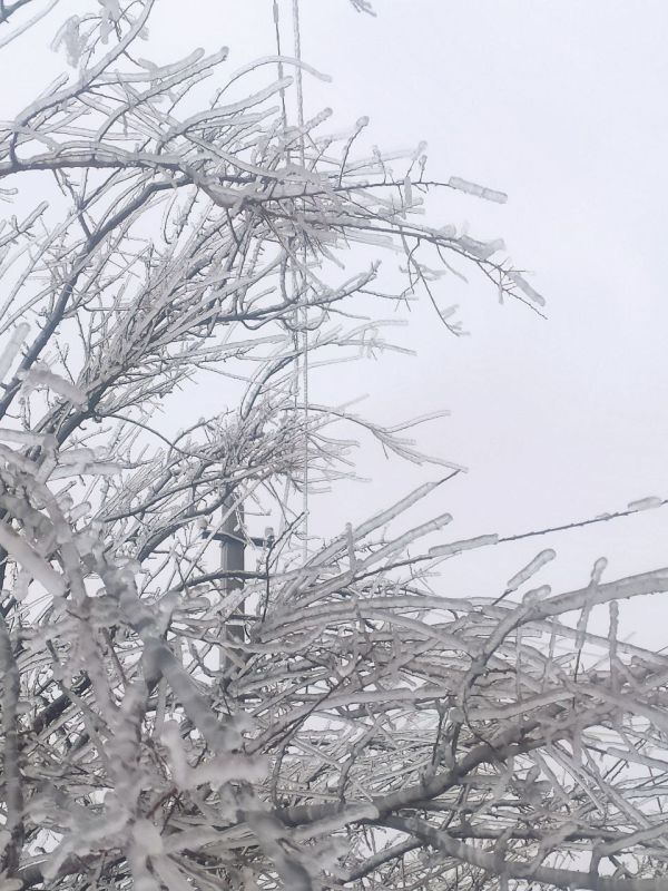 � ���� �������������� ���������������� � ��������� �������� ����������