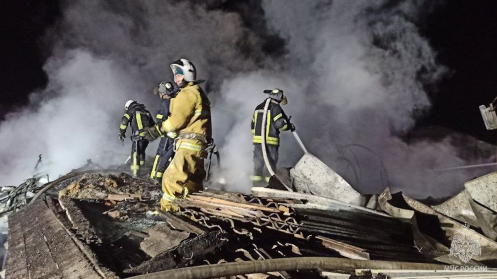 ����� ������. ��������������� ��� ������������ 46 ����������� �������, �� ������� ���������� 8 �������, �� ��� 5 ������� �������, 1 ������