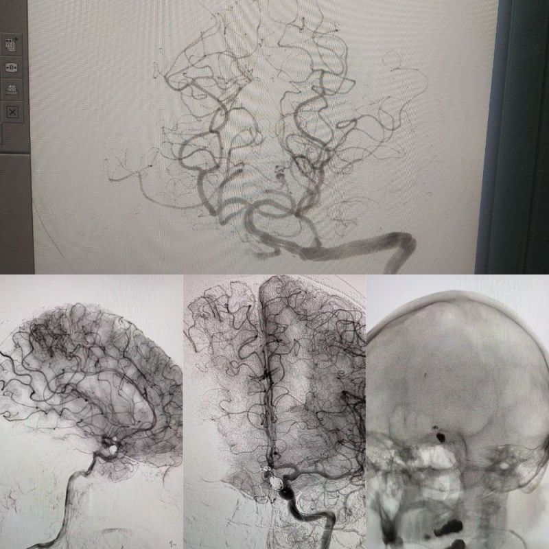 � ��� ������� � 2014 ���� ������� ��� �������� �������� �� ����������� ��������� ��������� �����