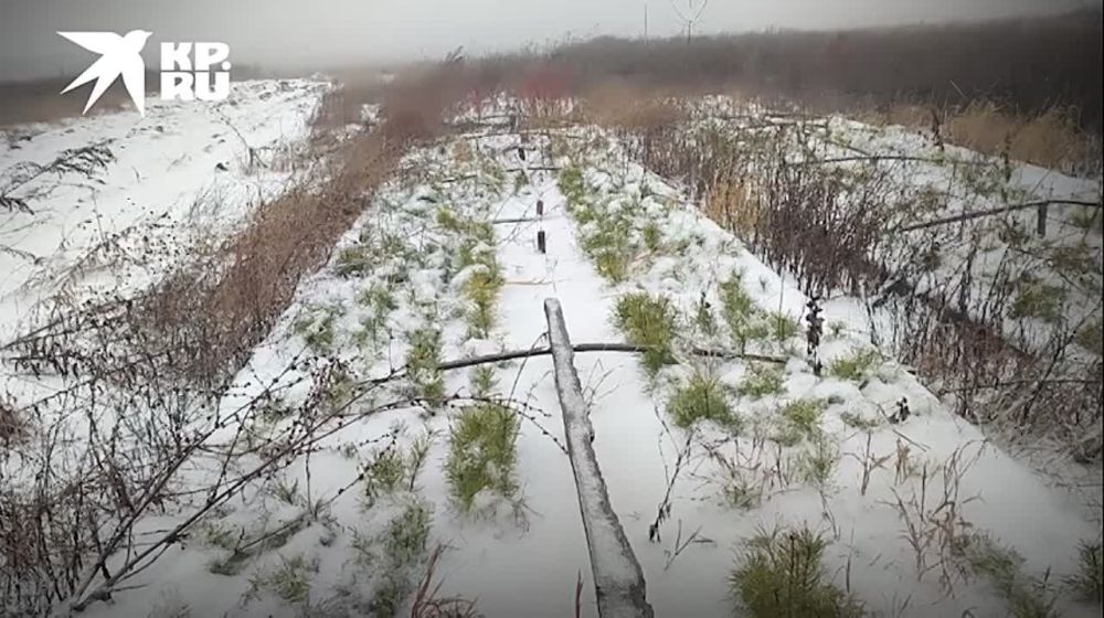 ���������� � ������������ ��� � �������� ����� ����������� ����