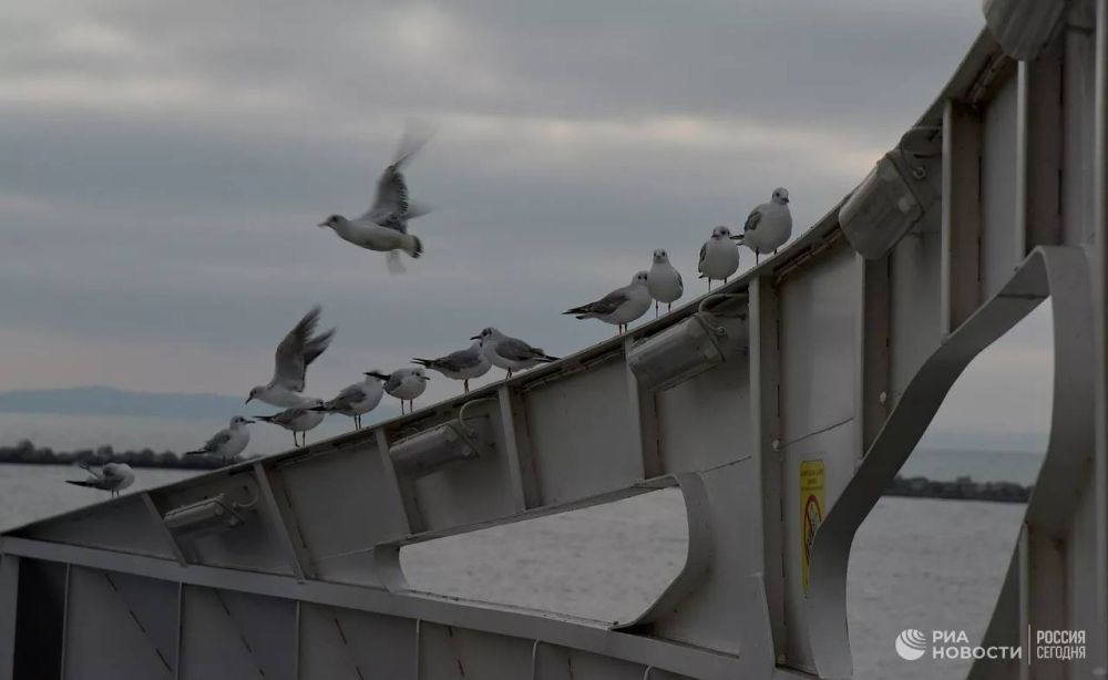 ������ �� ����� ����������� ������