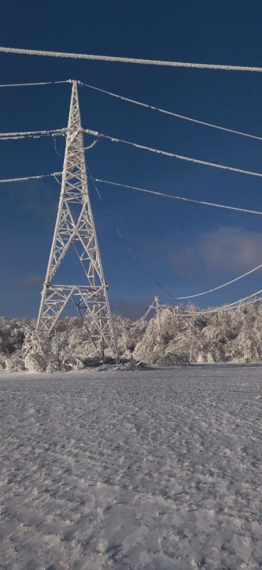 ������������ ��� ��������, ��� �� ���� 18 ������� ������������� �������� 72 750 ���������, ������� ����� �� ������� ��������� � ��������������, �������������, �������������, ������������ � ������������ �������