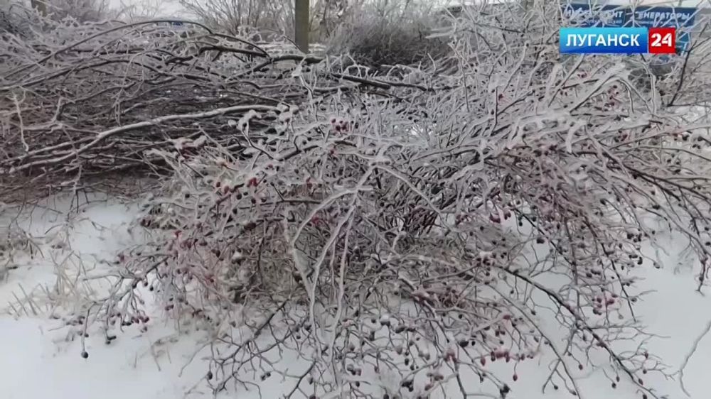 ����� ������������� ����������� ������ ������� � ��������� �������� ������ �� ���������� �������� 24� ��������� � ���������� ����������� ��������