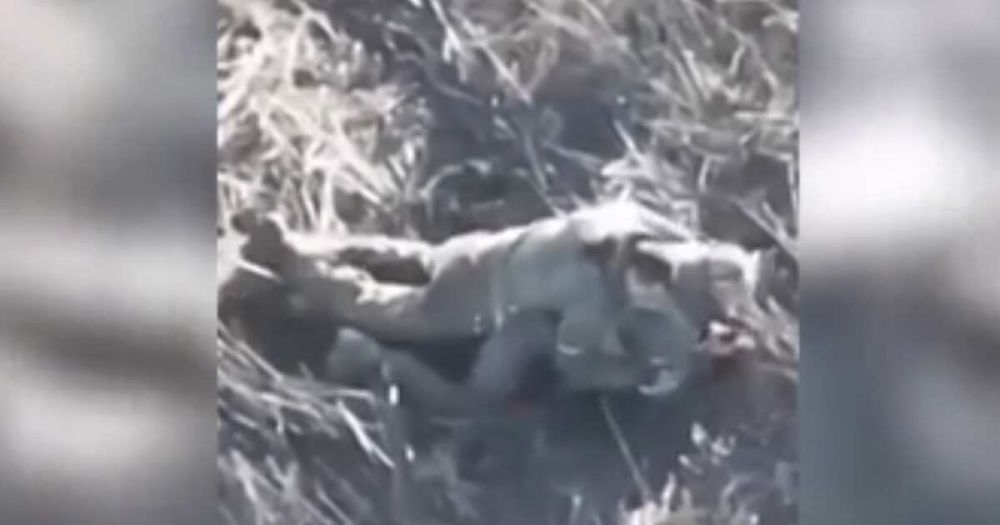 ���������� ���� ���� �������� �������� �� �������� ����� ���