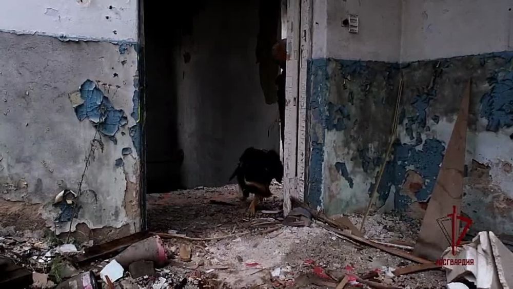 ������������ �� ���������� ��� �������� ����������������� ������ ��� ��������� �����