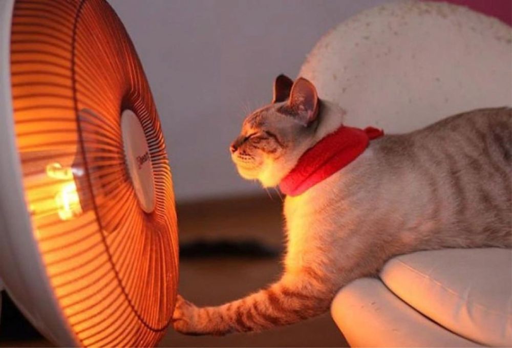 ������������� ������ ���������� � ����� ������������ ��� ������������� ������������� ������������