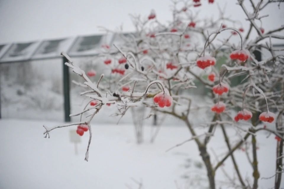 �� +9 �������� � ��������� ����� ������������ ��������� � ��� 22 �������