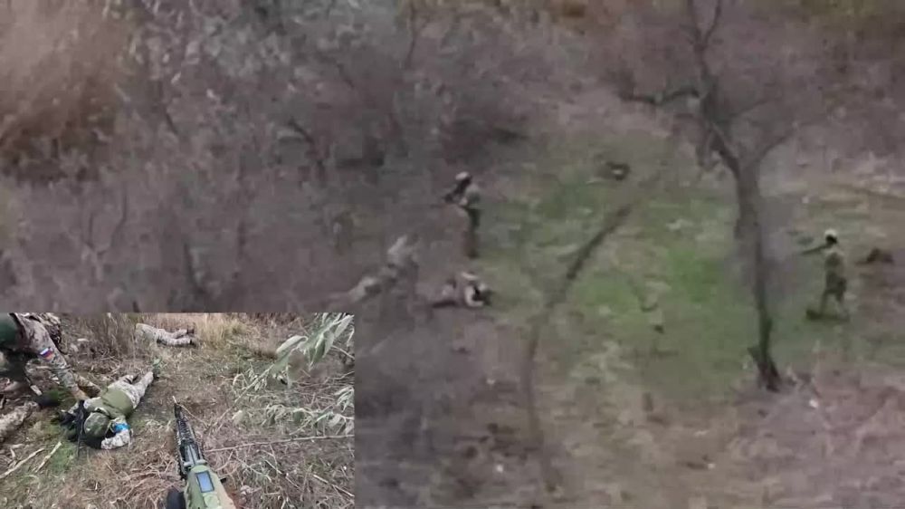 ������ ����� ������ � ���� ���������� �������� , �������