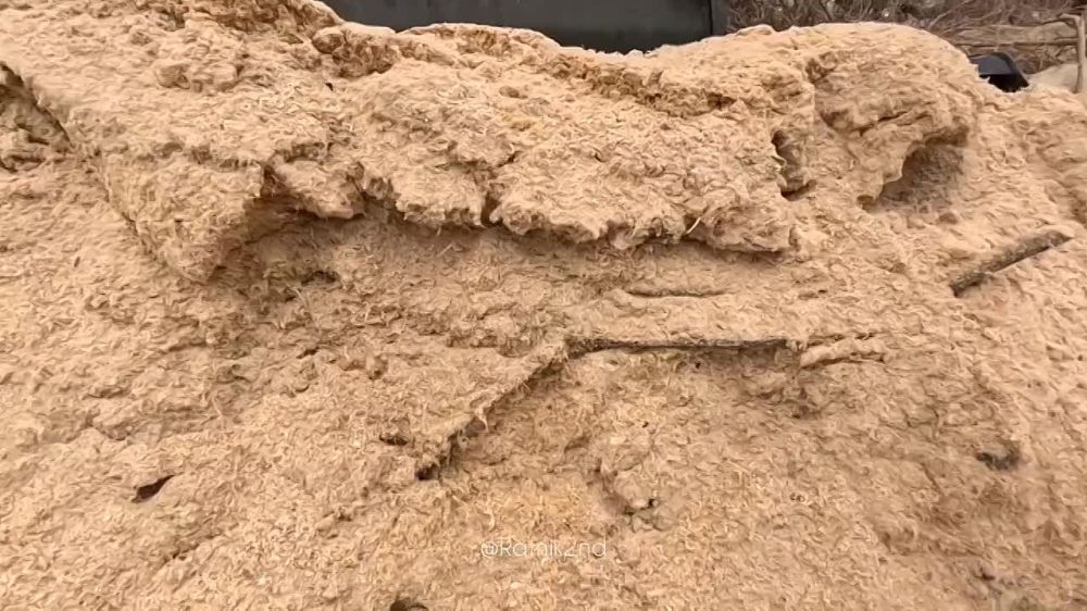 ������ ����� ������ ����������� ���������� ������������ ��������� ����-1 �� ��������� �����������