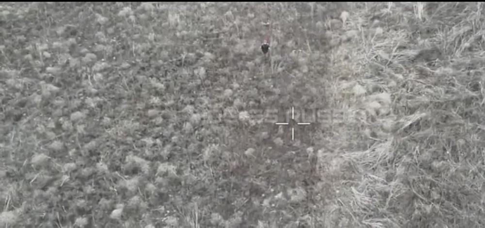 �����-�������� ���������� ���������� ������ � ����