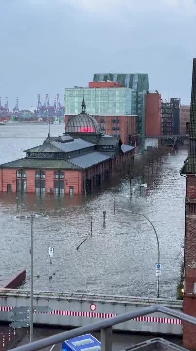 ������ �������� �� ����������: � �������� ���� ��������� �� 3,3 ����� ���� �������� ������