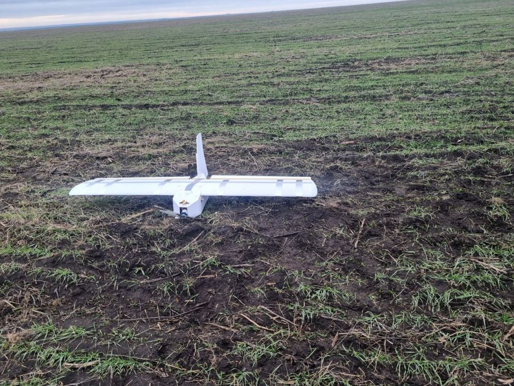 ������������ �������� ���� �� ��������� �����������