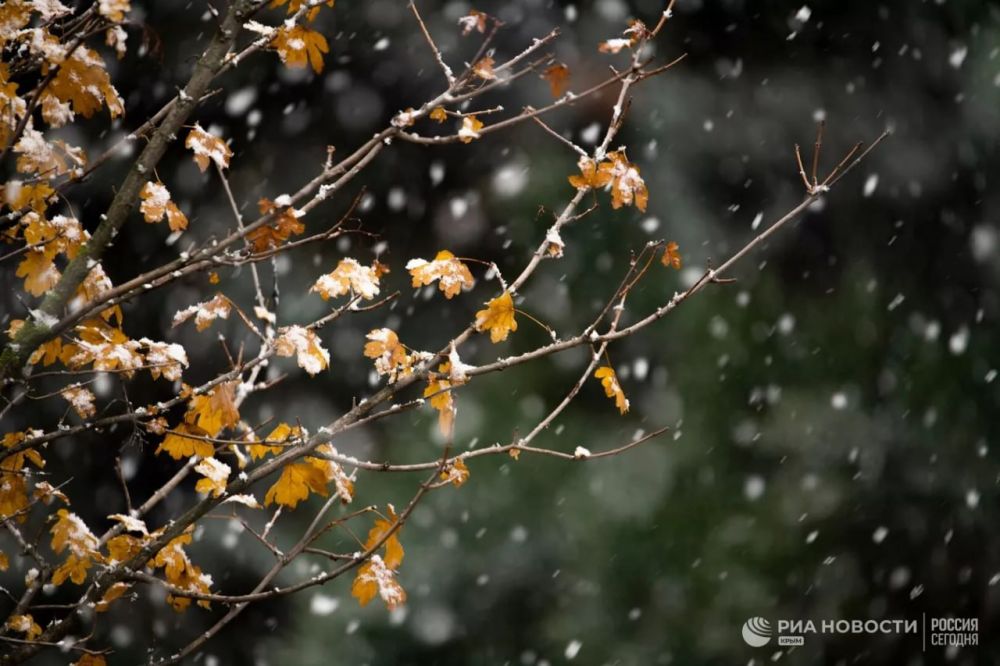 ������ �� ����� ����������� ������