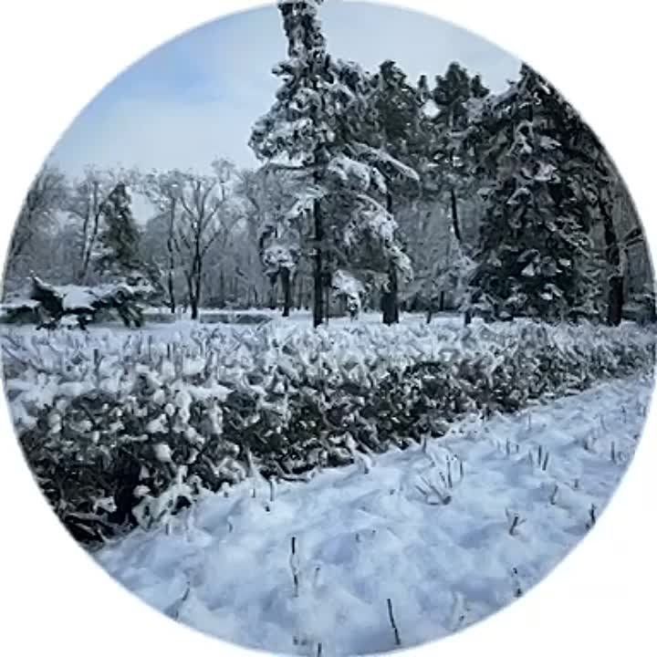 ������ ����� ����� �������� � ��������� ������� ��������� ������ � ������� ���������� �� 2024 ���� ��������� � �������� � �������� ������� "��������", "������" � � ���������� "����"