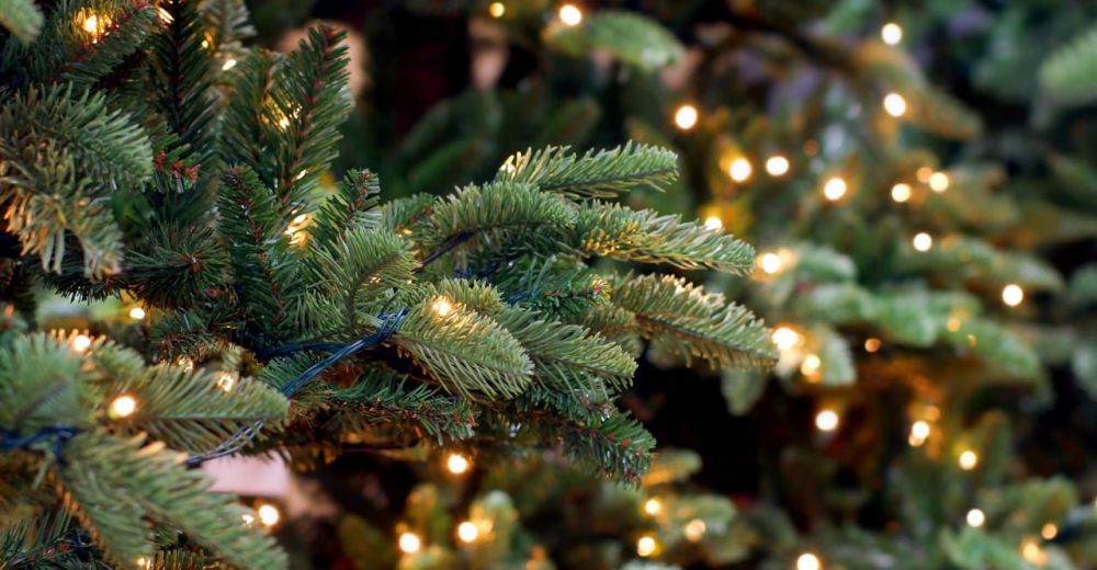 ������� ��������� � ������������ ������ �� ����� ���������� ���������� ����������� � � ������ ������ ��������� ��������� �����