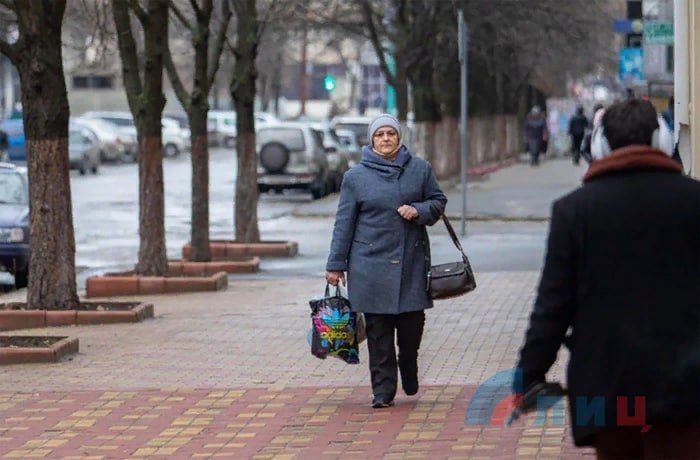 ���. ������������ ������������ � ������� ��� ������������� � 2024 ���� � ������ ��������� ������������� �����������...