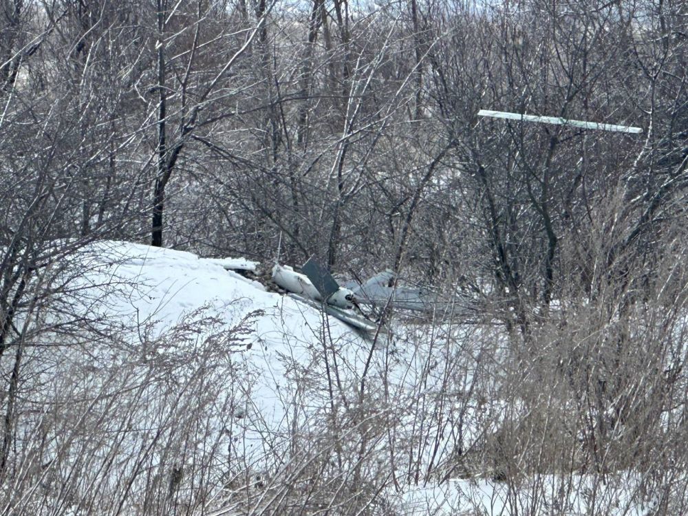 �������, ������!. ������ ����, ������� ������ �������� �� ��������� �����������