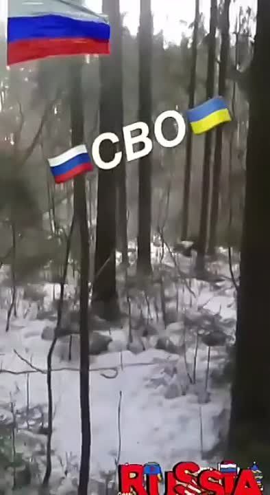 ������� ������� ������������ � ����������� �������� ������ ��������� ����� "������"