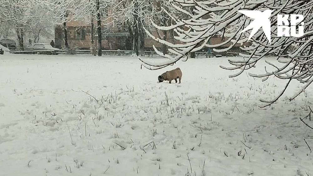 � �������� ���������� � ��������� �����