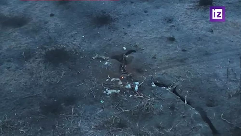 ������ ����� �������� ��� ����� ����������� � ���������� � ����� ���������� �� ������� ��������