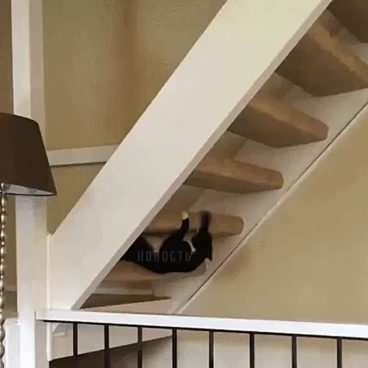 ������, ��� ���, � ��� ����� ���� ����