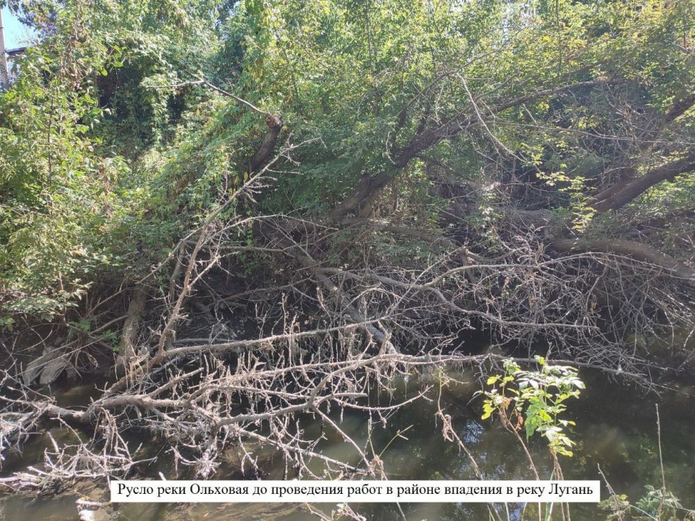 ��������� ������ �� ����������� ���������� ���� �������� � ����� ��������, �������� � ���������� ���