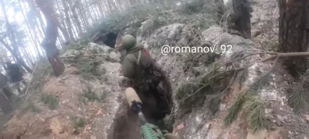 ������� 2023. ������������ �����������, ���������� �-�, ��������� �������� ����������, ������