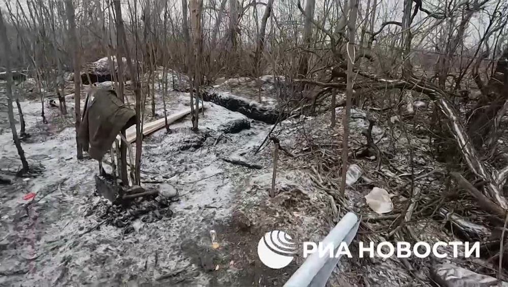 �������������� ����������� ���������������� ��������� ����� ������� ������������, ��������������� �� ������ ���������� �������������, ��������� ��� ������� � ������ ������������ ��� � ���