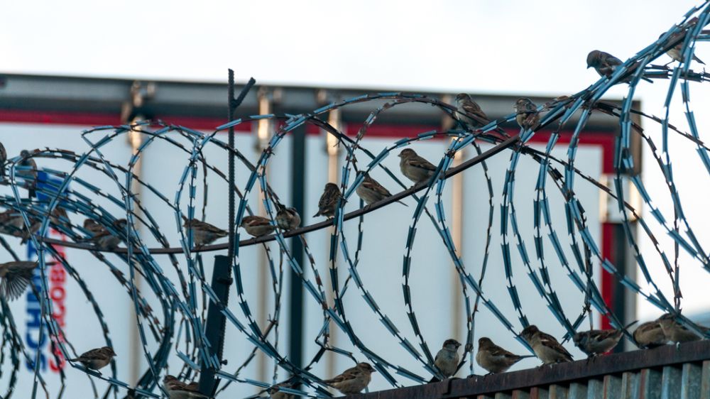 "�����.��": ��������� ������, ������������� � 24 ����� �������, ����� �� ���