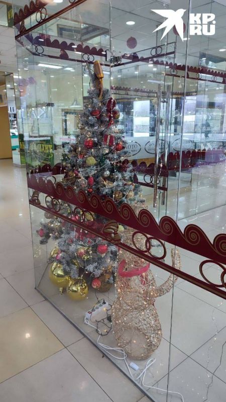 ������ ������� ����� ���� ������