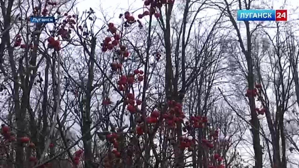 �� �������� ���� ���������� ������������� �������� ������� ����