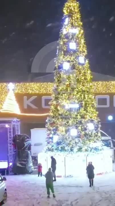 ��������� �������� ����������: 15 ������� � ������� ������