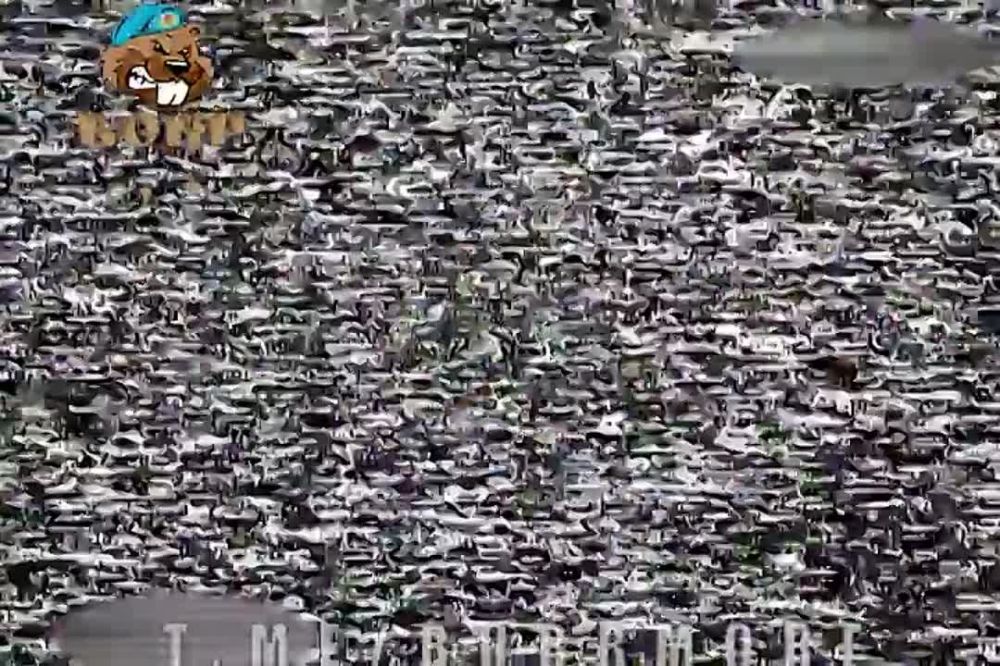 ���������� ����� "����" ���������� ��������� ���������� ��������