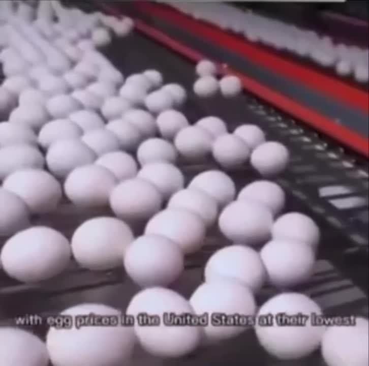 ������������� ���� �� ������ �������, ���������, �������������� � ���������