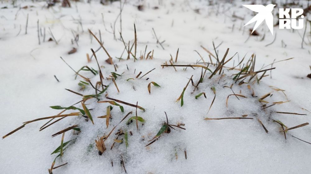 ���������� ����������. ����� �� ����� ����� ����