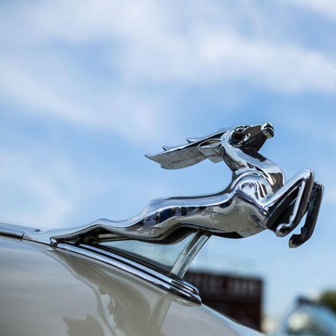 ����-������� �������� �������, ��� � �������� 2024 ���� � ������ ��������� �������������� ������������ ����������� "�����"