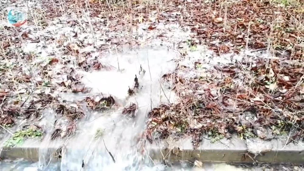 ����������� ��� ��� "�����������" � ������ ���������� �������� ��������� ����� 350 �������������� �� �������� ��������������������������� �����