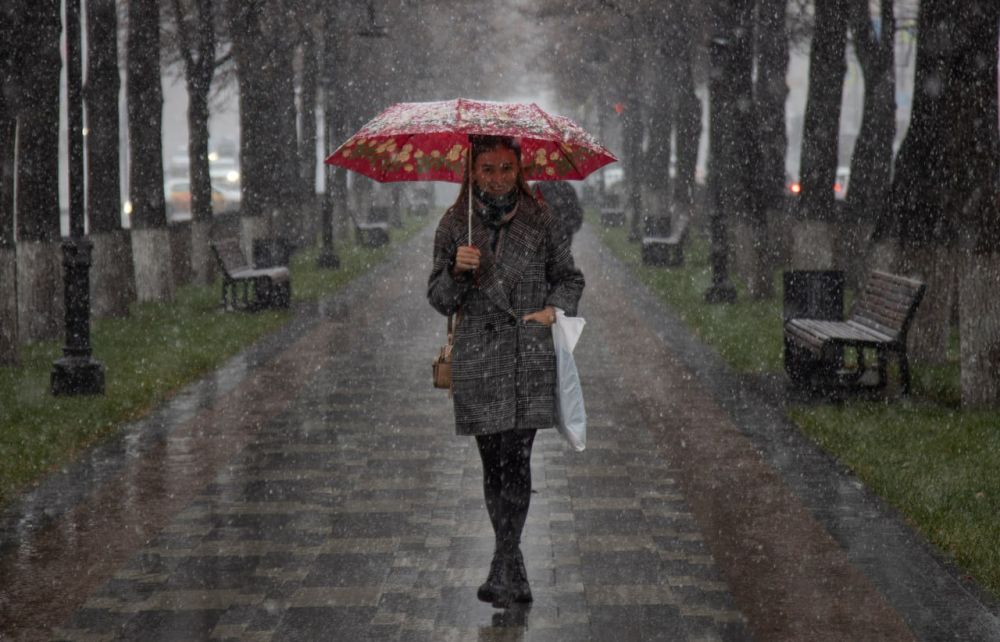 � ��� �� 7 ������ ������������ �� 3 �������� �����