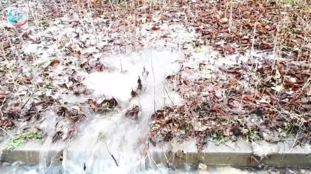 ����������� "�����������" � ������ ���������� �������� ��������� ����� 350 �������������� �� �������� ��������������������������� �����, �������� �������� ����������