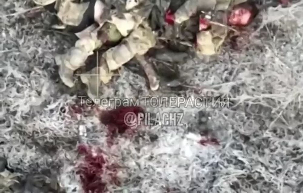 ��� �����, ������! ��� �� ��, ��� ��� ����!