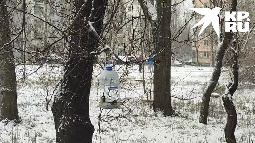 � ������ ����� ����. ����� � ���� ����� �� ����� ��� �����, � ����� ����� ���� � ������ ���� ����� ����� �������