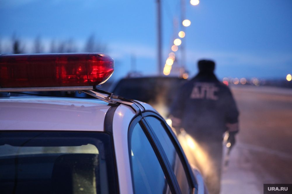 ������� ������������� �������� � ������ �������� &laquo;������&raquo;, ����������� ���