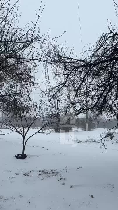 ��������� ����������� ������ � ������ ���� ���������� �� �������