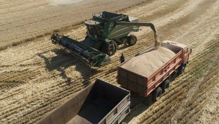 ЛНР. Аграрии освобожденных районов ЛНР активно продают урожай в Белгородскую, Воронежскую и Ростовскую области ...