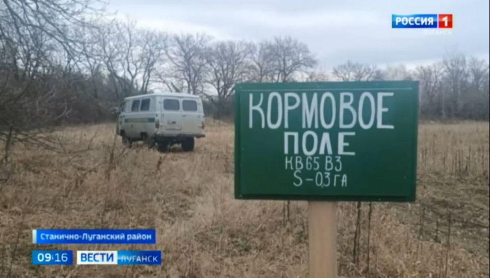 ��������� ����������� ������ ��������� ����� ��������