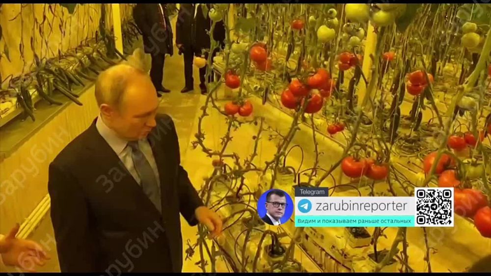 ����� �� �������! ������ �����