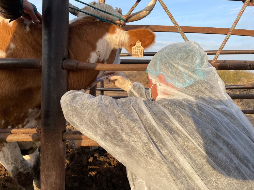 ����������� ����������������� �� ��� � ������ ���. ����������� ������������� �������� 1590 �������� ���� � �/� �������� � ��������� ��������� ������������� � 2024 ����