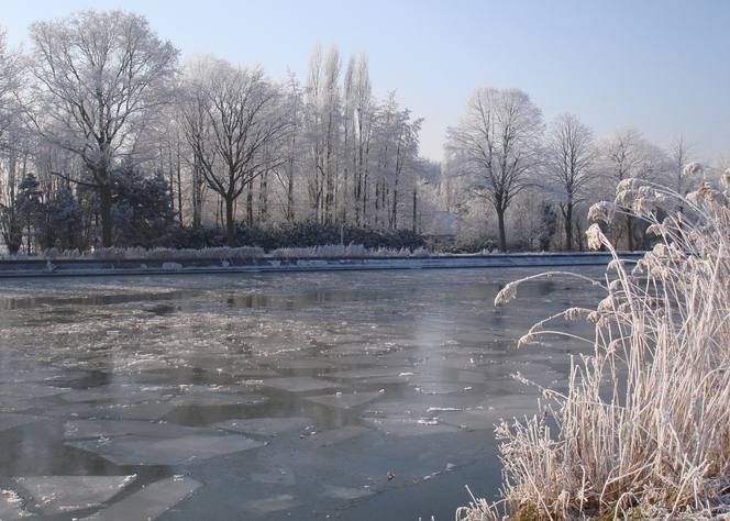 �������� ��������� ������ ��� ������� ����� "� ����������� ������� ��������������� ������ ��������� �������� ���������� � ������� ������ ���������"