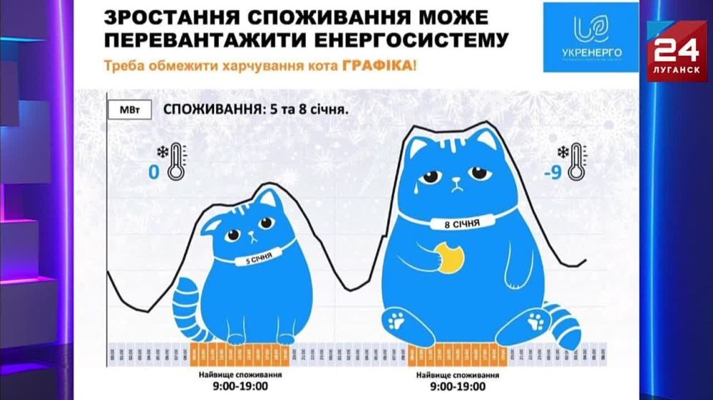 ����� ������ ��������� �������� �� ������� �� ���������� �������� 24� ��������� ��� � ��������� ������������, ������� � ���������������, ������������ ��������� �� �������