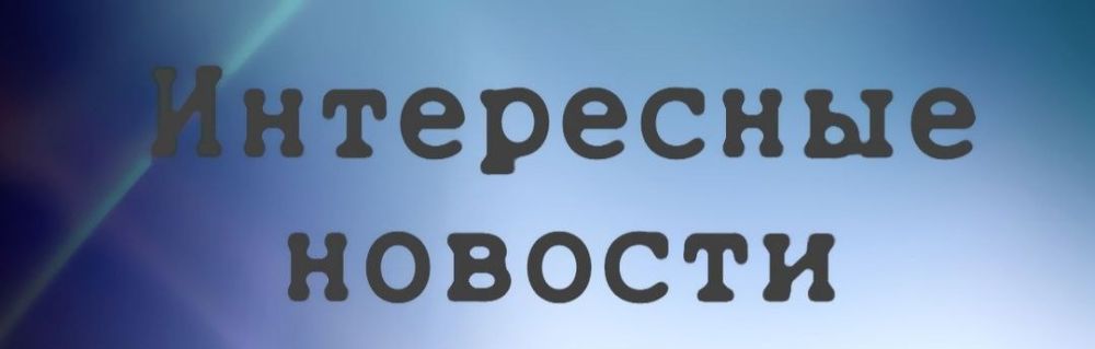 �� ������������ ������ ���� � ������ 2024 ���� �������� ���������� �����